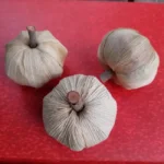 CONE PUMKIN - Image 2